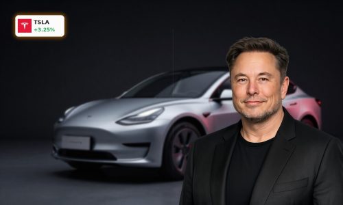 Tesla FSD China Launch with Tesla Model 3 staged to highlight premium autonomous driving technology